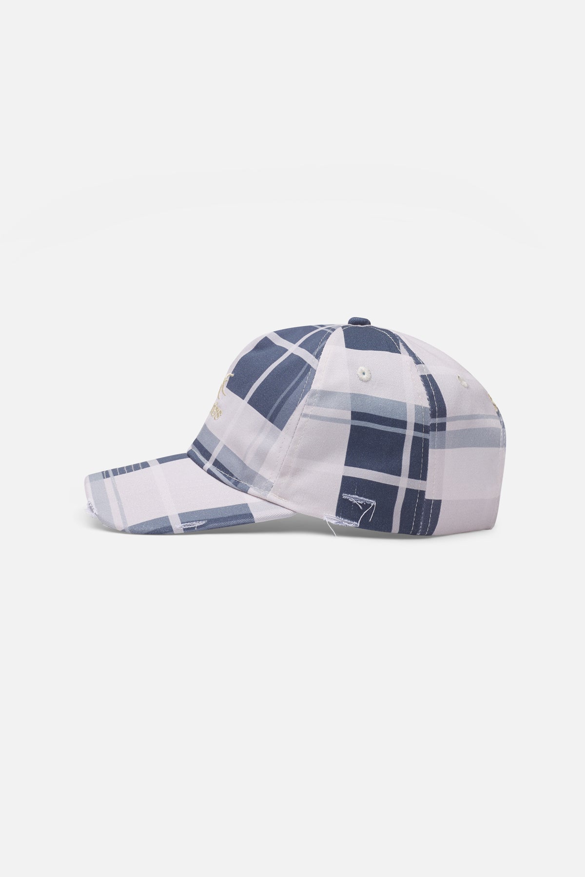 Checks Blue Cap